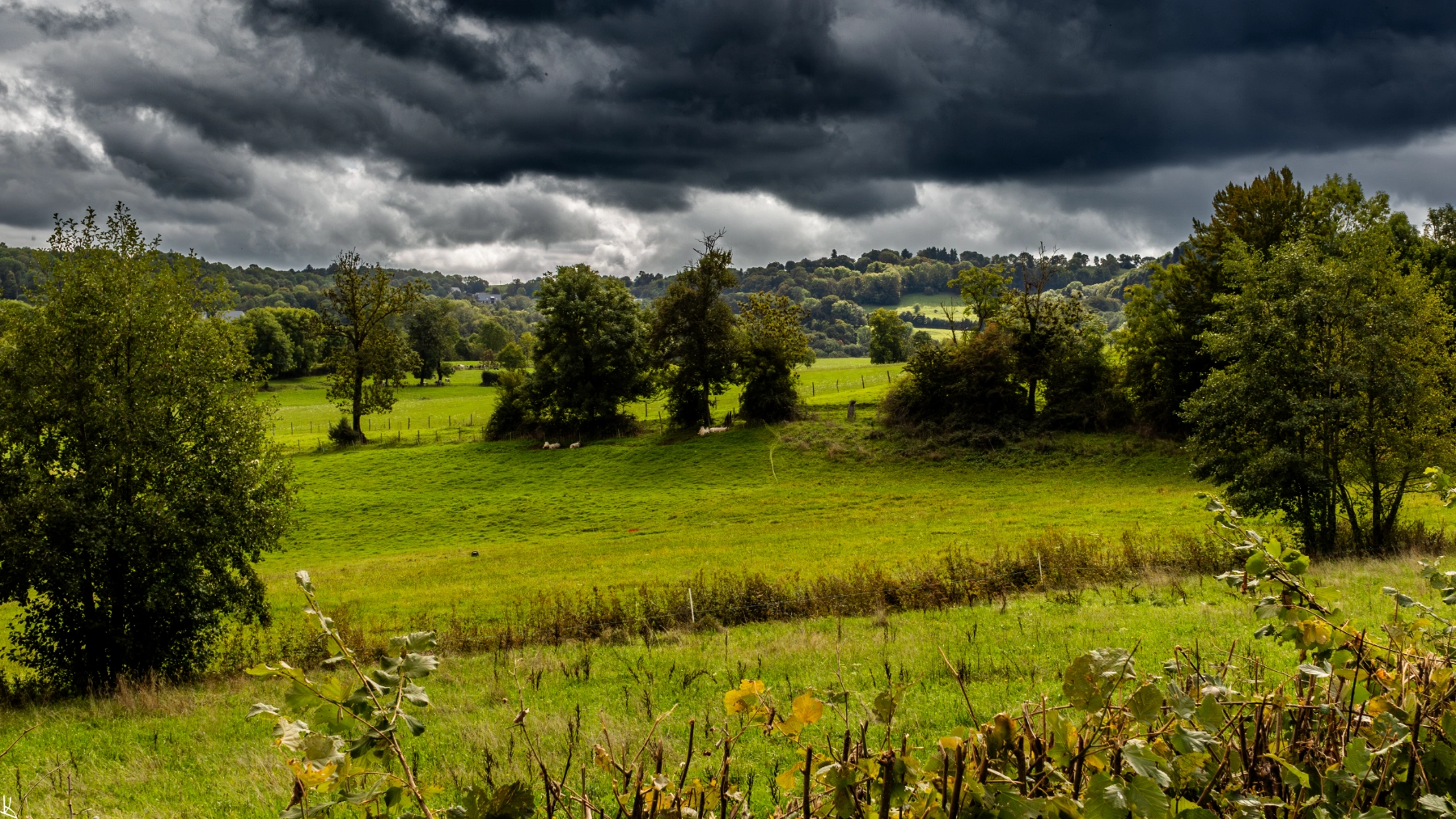 Voissieux - la campagne